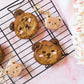 Cookie Bear Bag Charm